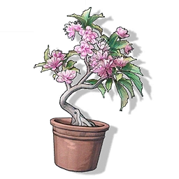 Kirschbaum-Bonsai | Encore.moe